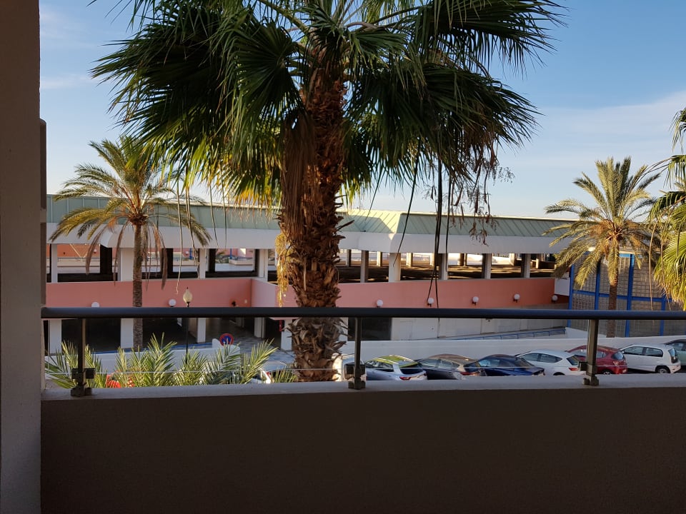 Ausblick Servatur Alameda de Jandía