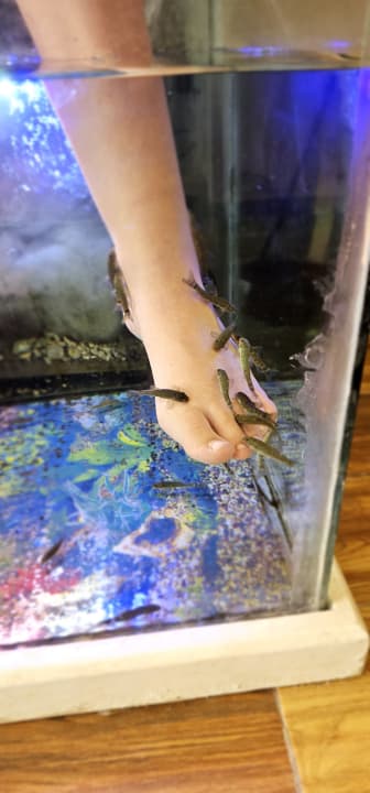 Sport & Freizeit Golden Beach Resort