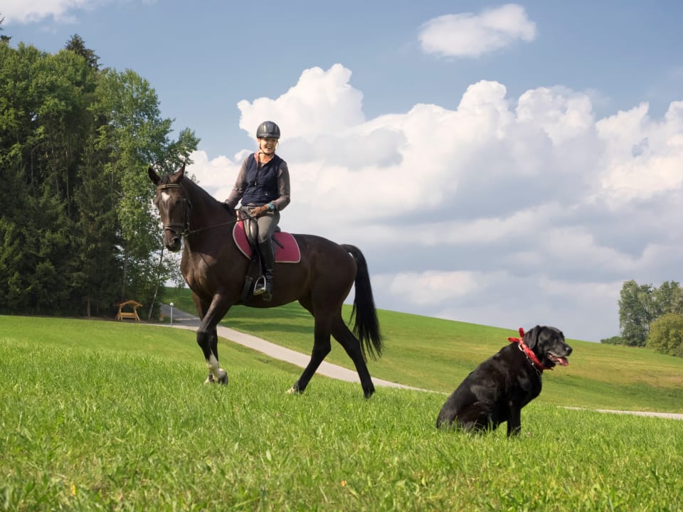 Sport & Freizeit Hotel Gut Feuerschwendt