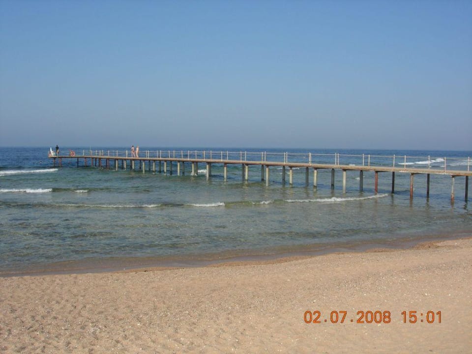 Strand/Riff am 1. Urlaubstag Three Corners Sea Beach Resort