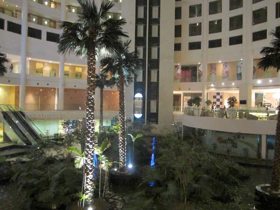 Alles neu Radisson Blu Hotel New Delhi Dwarka
