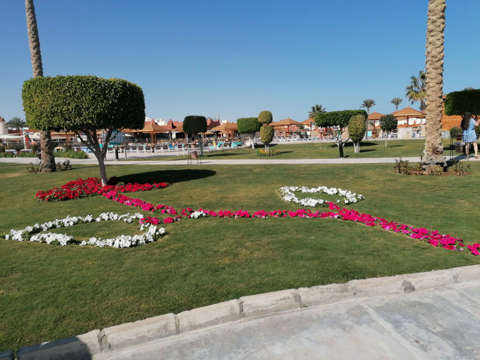 Gartenanlage SUNRISE Royal Makadi Resort
