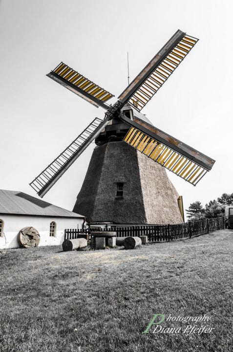 Windmühle bei Nebel Hotel Anka