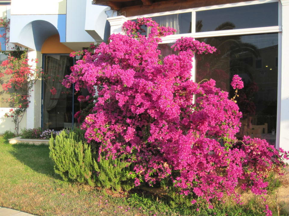 Eine Pracht Hotel Albatros