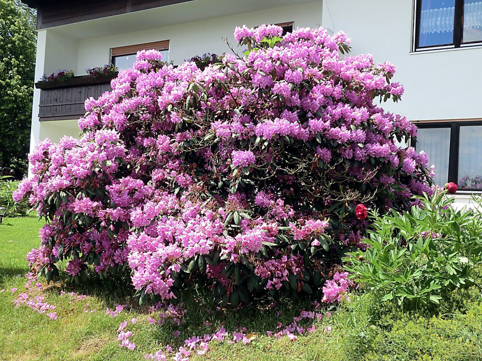 Einfach toll Pension Schrötter