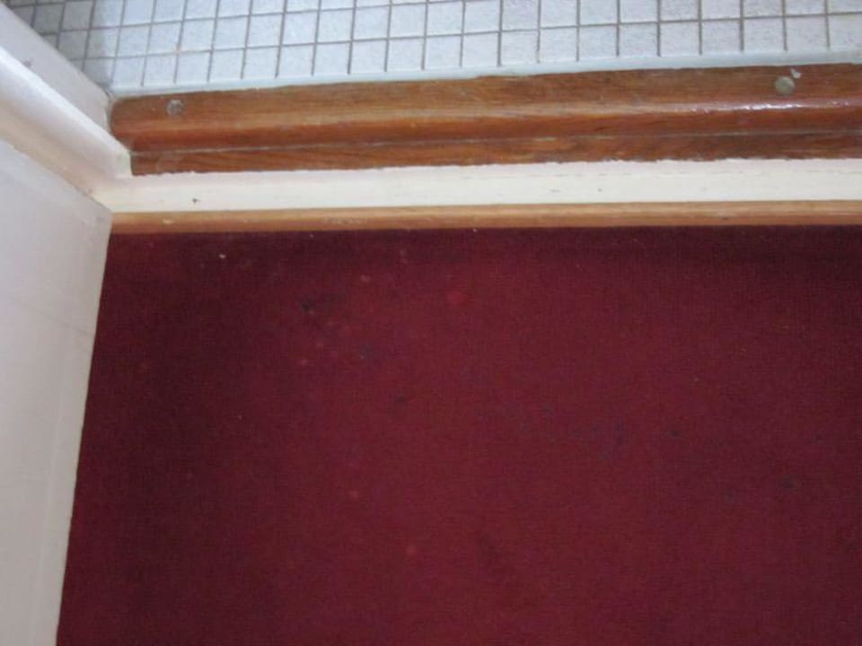 Teppich J5 Hotels Helvetie Montreux