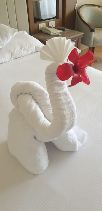 Zimmer Serenity Alpha Beach