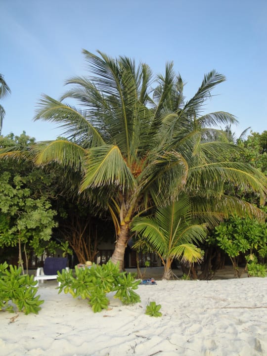 Sicht zu unserem Bungalow Adaaran Select Hudhuran Fushi - Premium All Inclusive