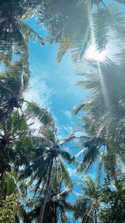 Ausblick Summer Island Maldives