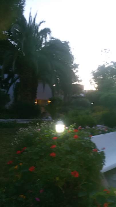 Garten The Orangers Beach Resort and Bungalows