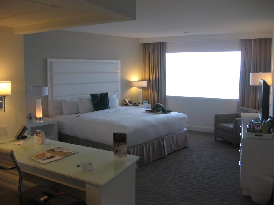 Unser Zimmer Sonesta Fort Lauderdale