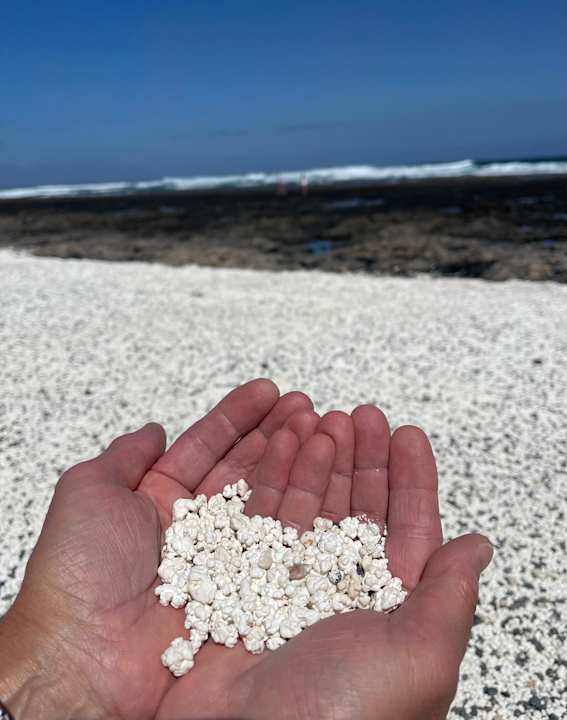 Sonstiges Hotel Riu Palace Jandia