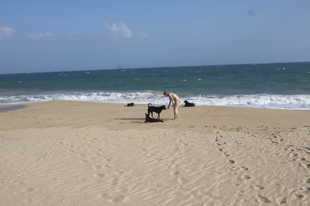 Immer 30 Grad Golden Coconut Cabanas