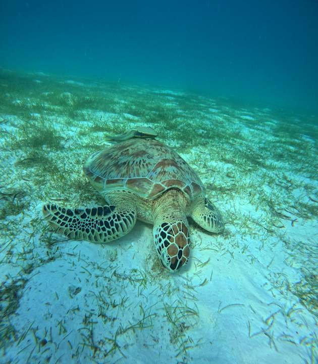 Sport & Freizeit Le Meridien Maldives Resort & Spa