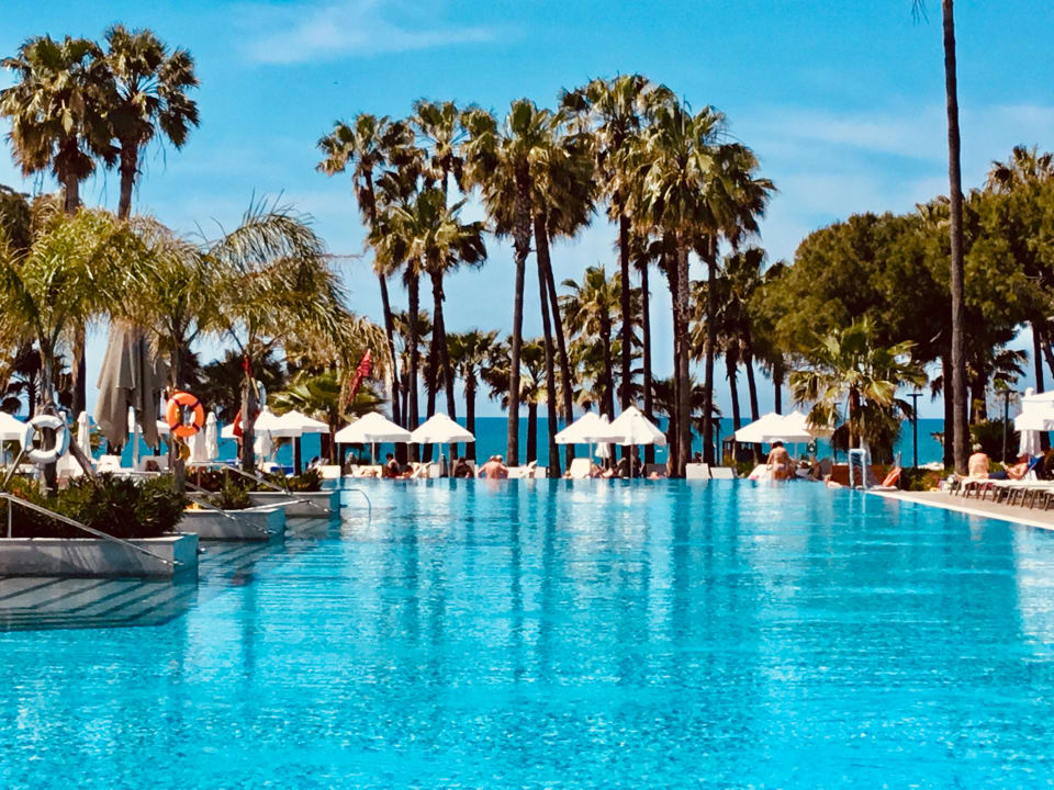 Pool Acanthus Cennet Barut Collection