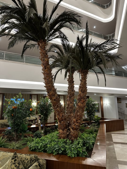 Lobby Saphir Resort & Spa