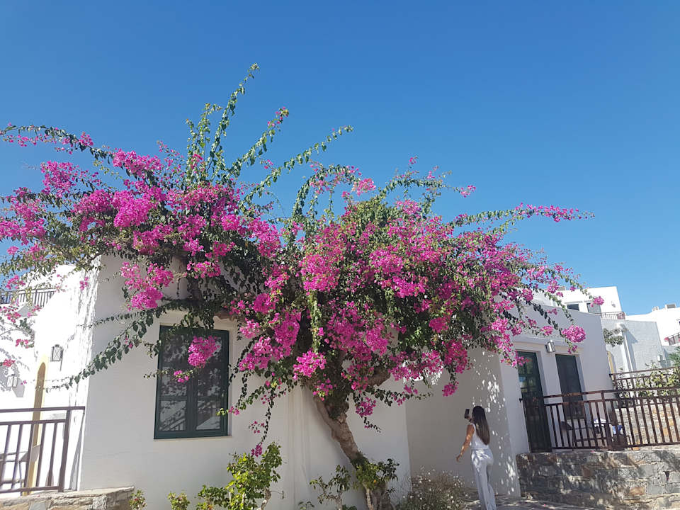 Außenansicht Creta Maris Resort