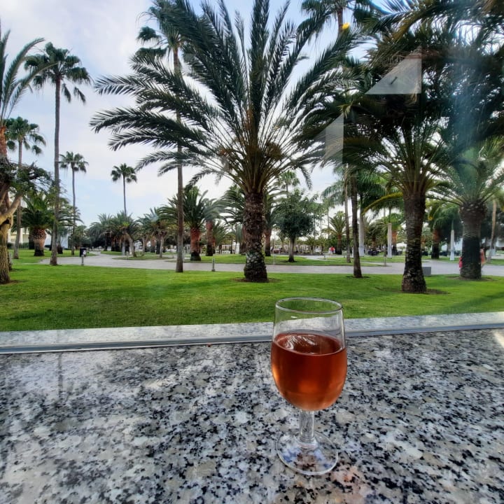 Gartenanlage Hotel Riu Gran Canaria