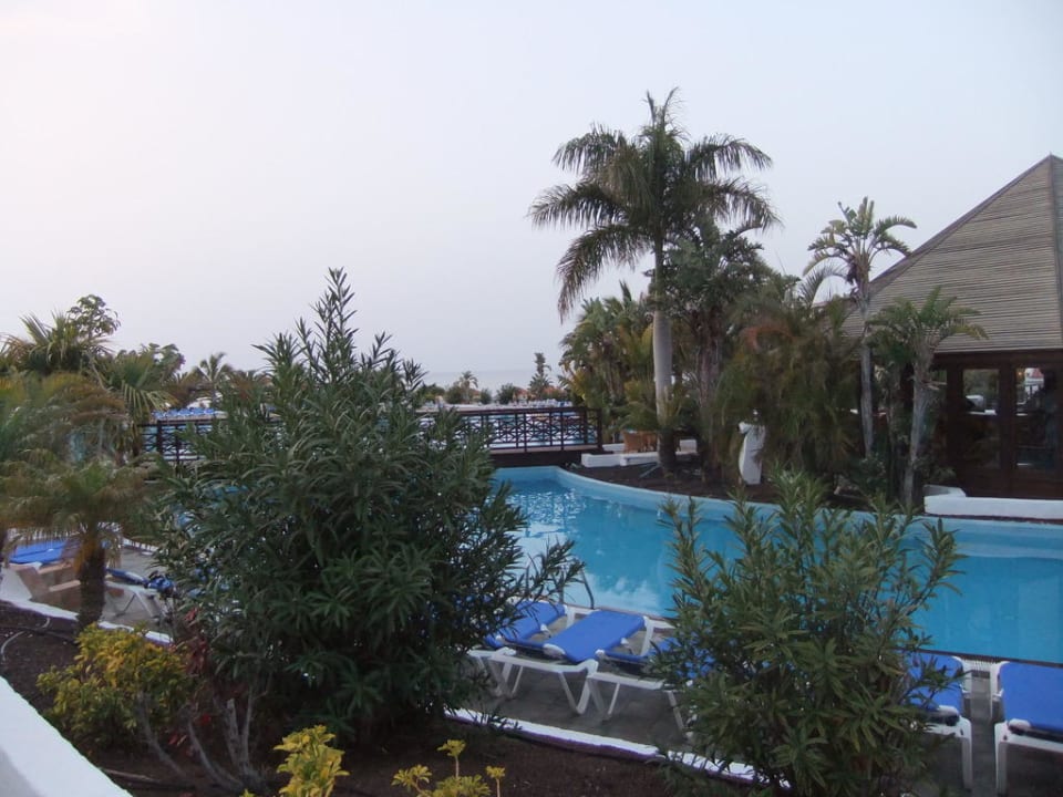 Pool mit Bar Fuerteventura Princess