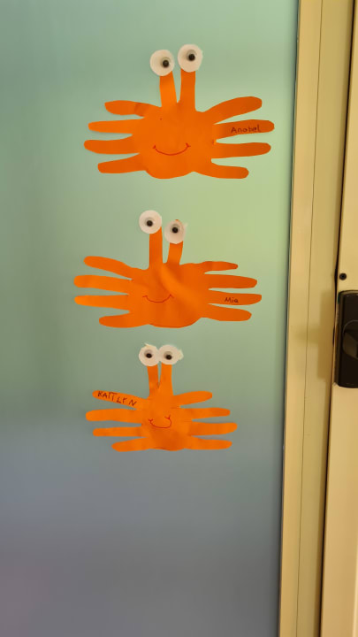 Sport & Freizeit Well Palace Side