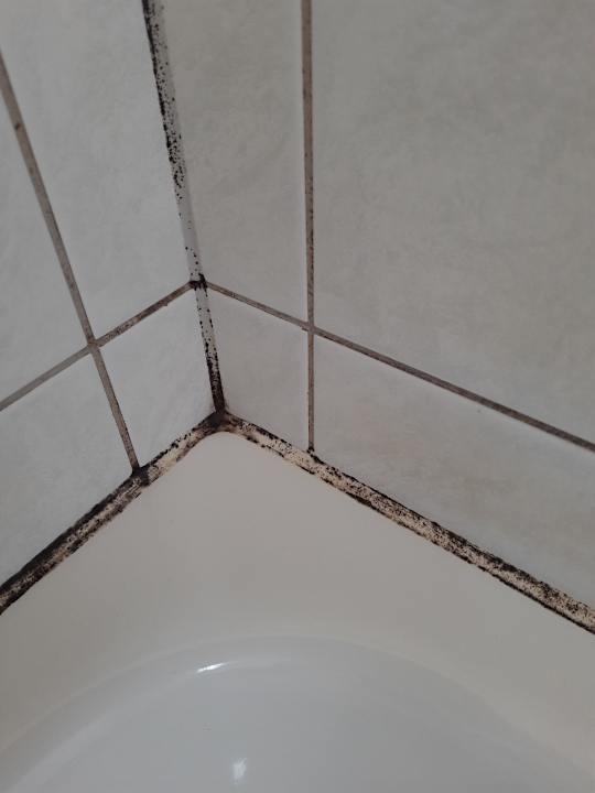 Zimmer Ferienwohnungen Bochmann