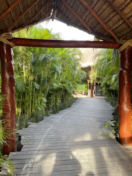 Gartenanlage Akumal Bay Beach & Wellness Resort