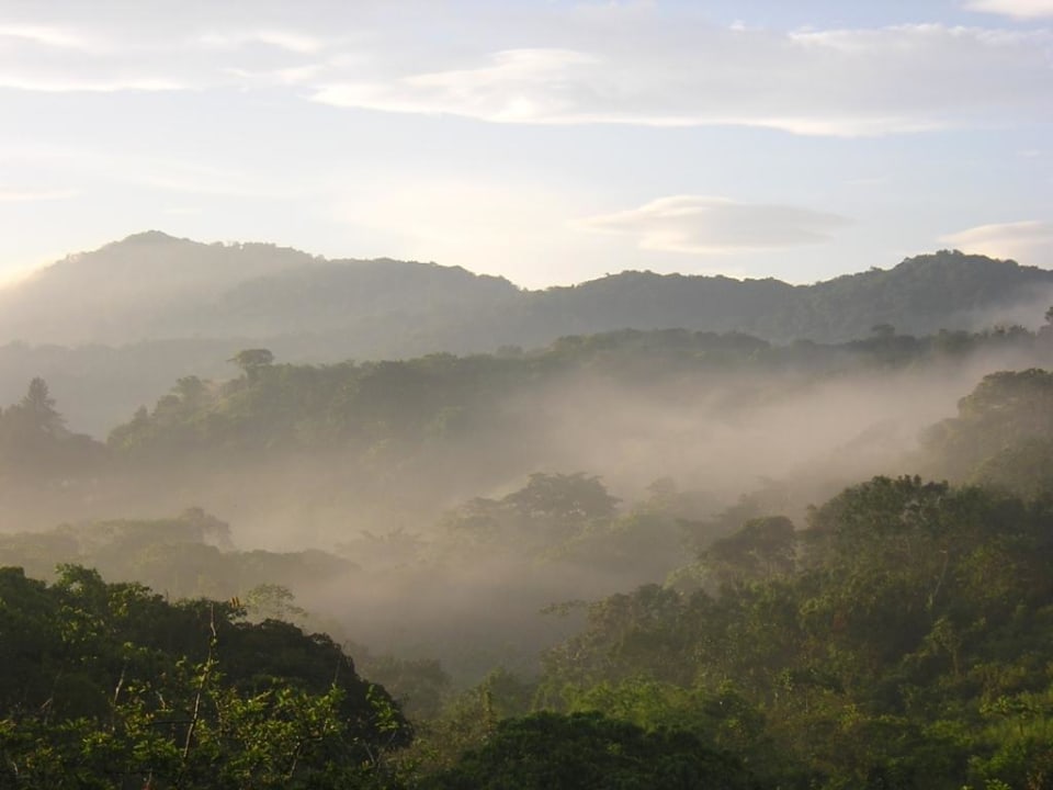 Vista neblina Posada Vista Montaña