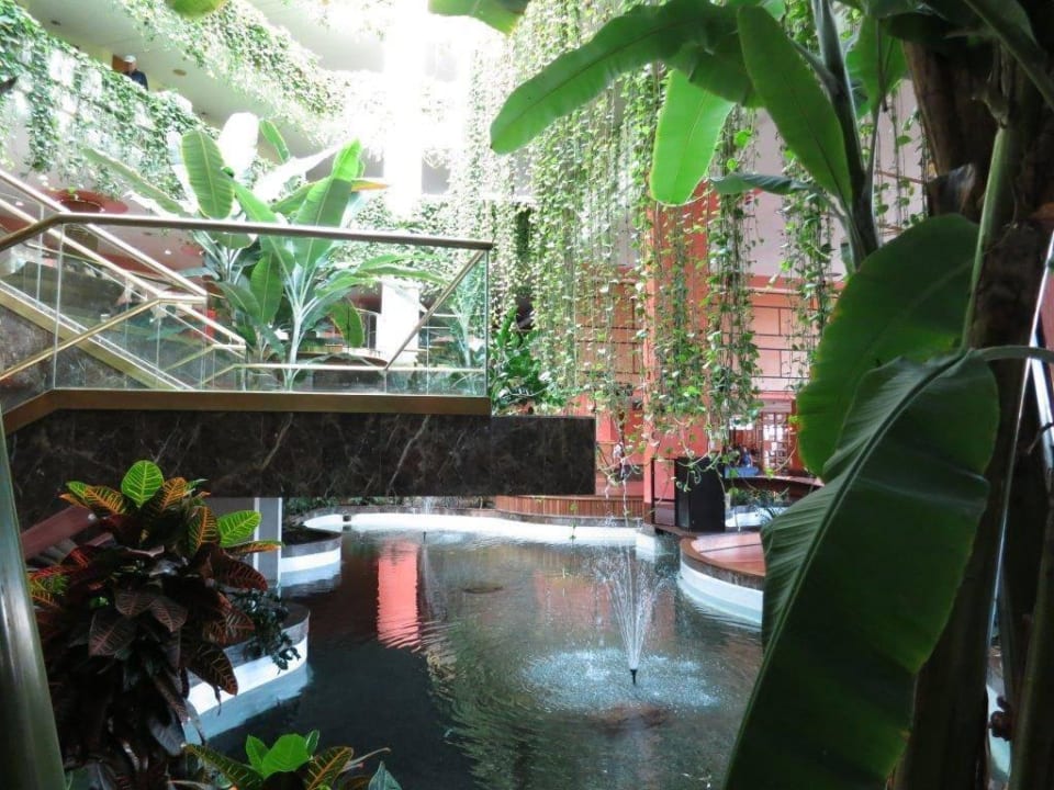 Lobby - Eingang Alexandre Hotel Gala