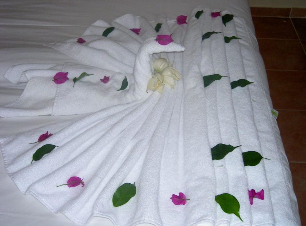 Schwänchen aufm Bett AQI Pegasos World