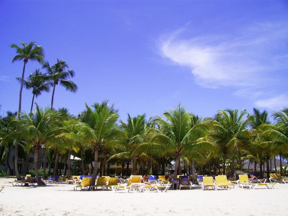 Hotelstrand vom Meer aus Hotel Viva Dominicus Palace by Wyndham-All Inclusive Resort