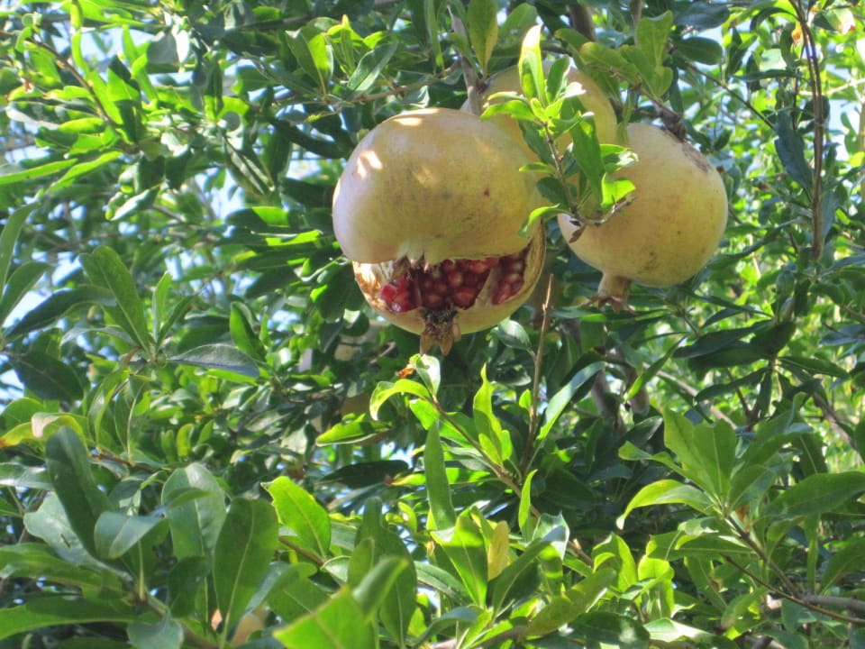 Lecker Labranda Alantur Resort