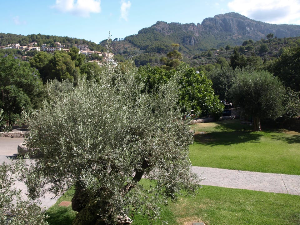 Blick auf die Berge Hotel Es Port