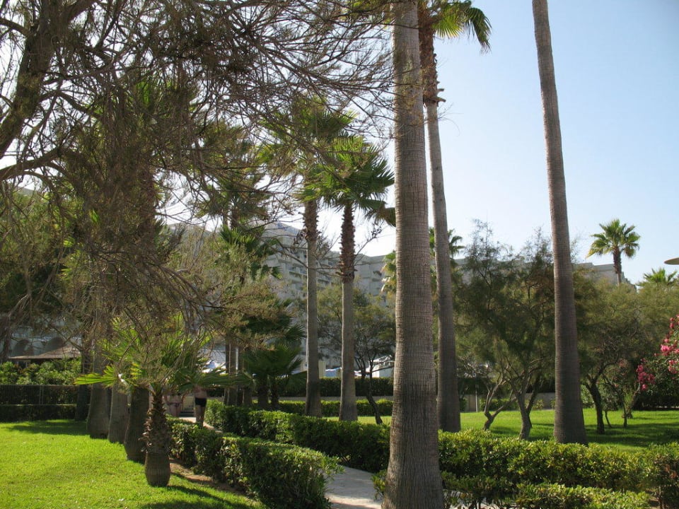Zwischen Anlage und Strandpromenade/Strand Hipotels Mediterraneo Club
