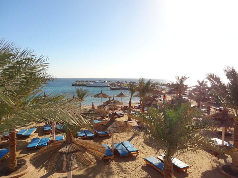 Blick vom Restaurant auf den Strand Beach Albatros Resort