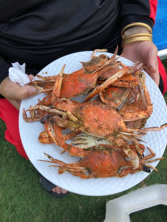 Gastro Titanic Beach Spa & Aqua Park