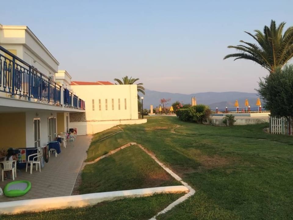 Po prawej stronie za palmą jest basen Hotel Saint Nicholas