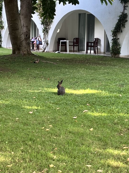 Gartenanlage Labranda Alantur Resort