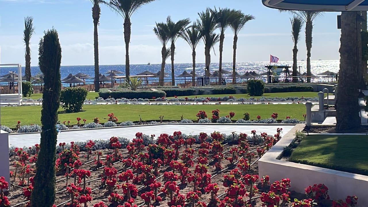 Gartenanlage Pickalbatros Palace Hotel-Port Ghalib