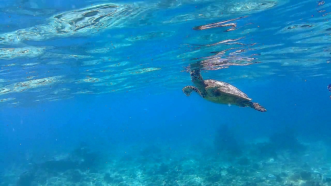 Sport & Freizeit Adaaran Select Hudhuran Fushi - Premium All Inclusive