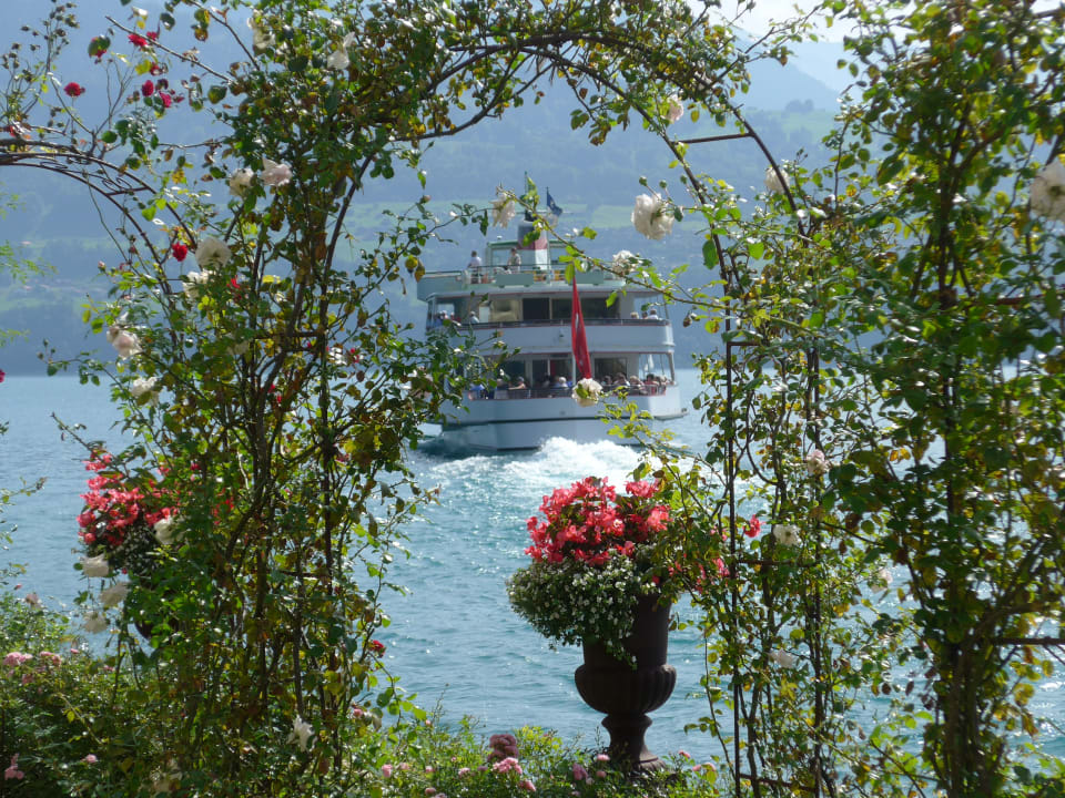 Gartenanlage Beatus Wellness- & Spa-Hotel