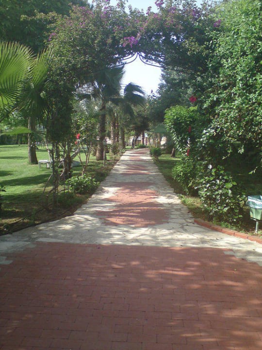 Weg zum Strand Hotel Defne Garden