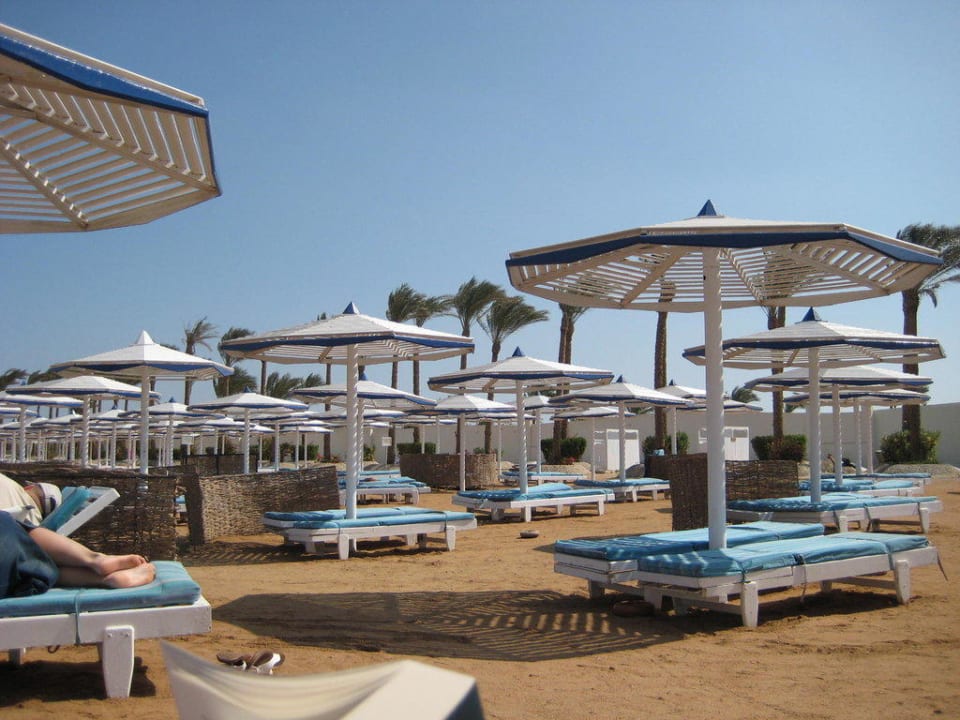 Strandliegen Pickalbatros Alf Leila Wa Leila Resort - Neverland Hurghada