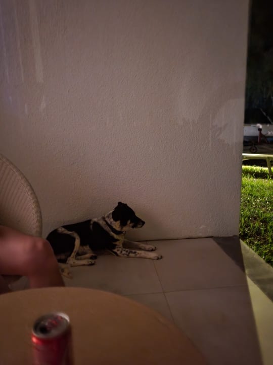 Zimmer Preskil Island Resort