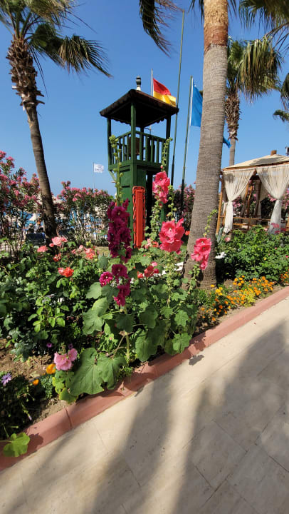 Gartenanlage Saphir Resort & Spa