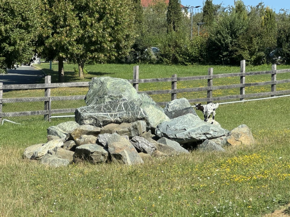 Gartenanlage Hotel Reiters Supreme