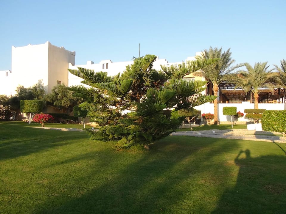 Ogród Three Corners Sea Beach Resort