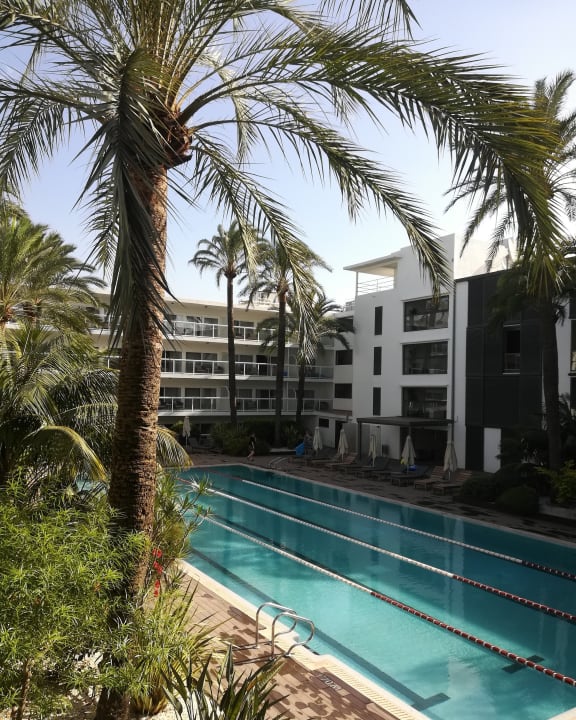 "Pool" Las Gaviotas Suites Hotel (Platja de Muro / Playa de Muro