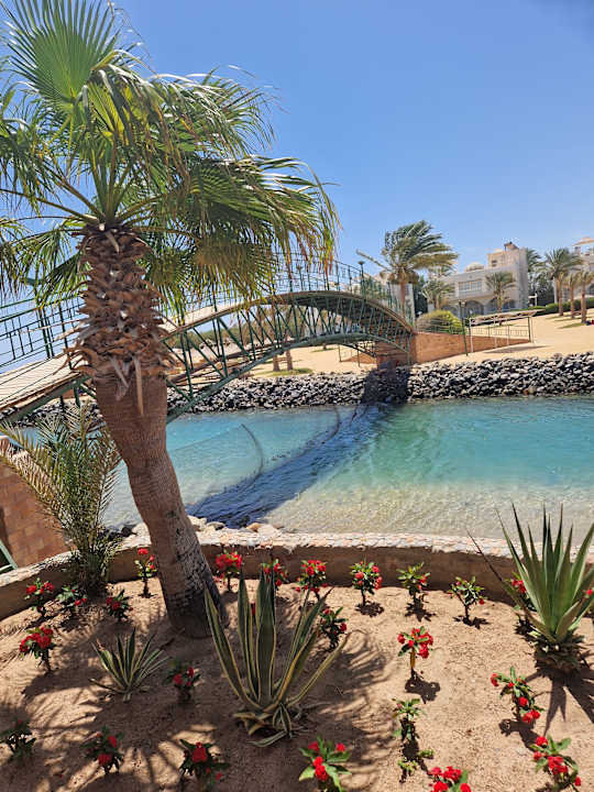 Gartenanlage Desert Rose