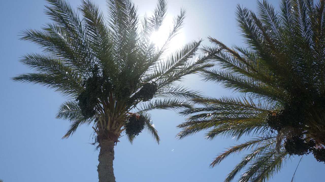 Entspannung pur Arabella Azur Resort