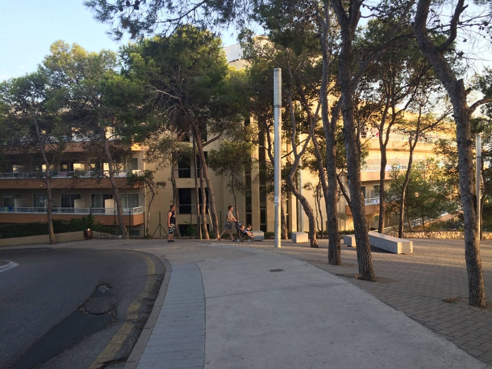 Od strony ulicy Hotel Cala Font